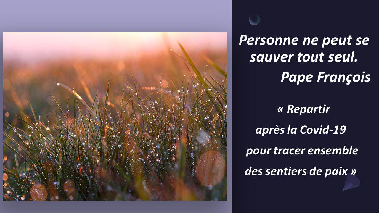 Message du Pape François pour le célébration de la journée mondiale de la paix
