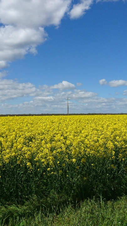 Avis d&rsquo;obsèques