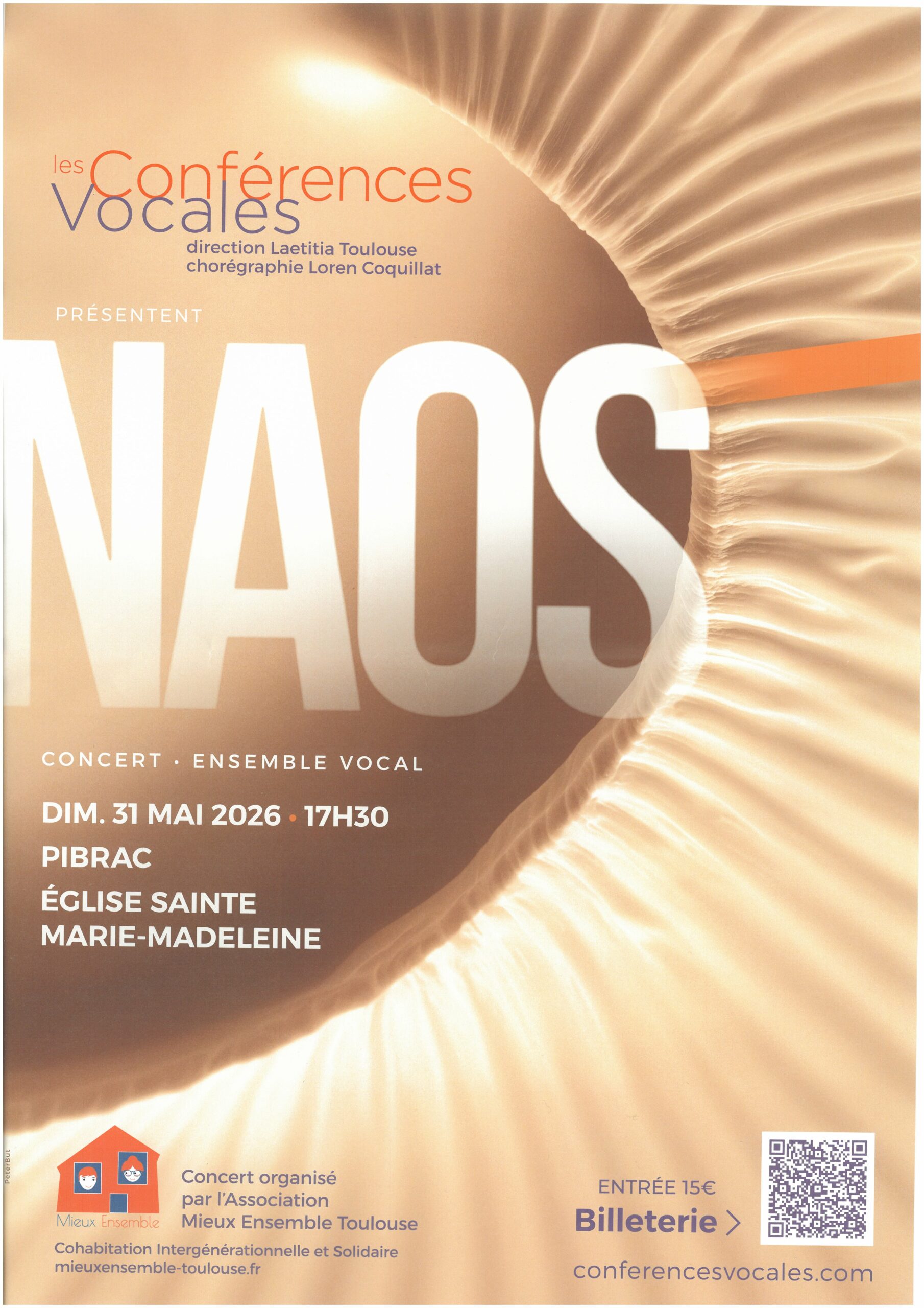 Concert caritatif à Pibrac
