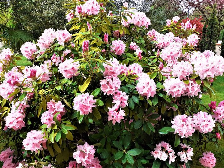 Avis d&rsquo;obsèques à Pibrac