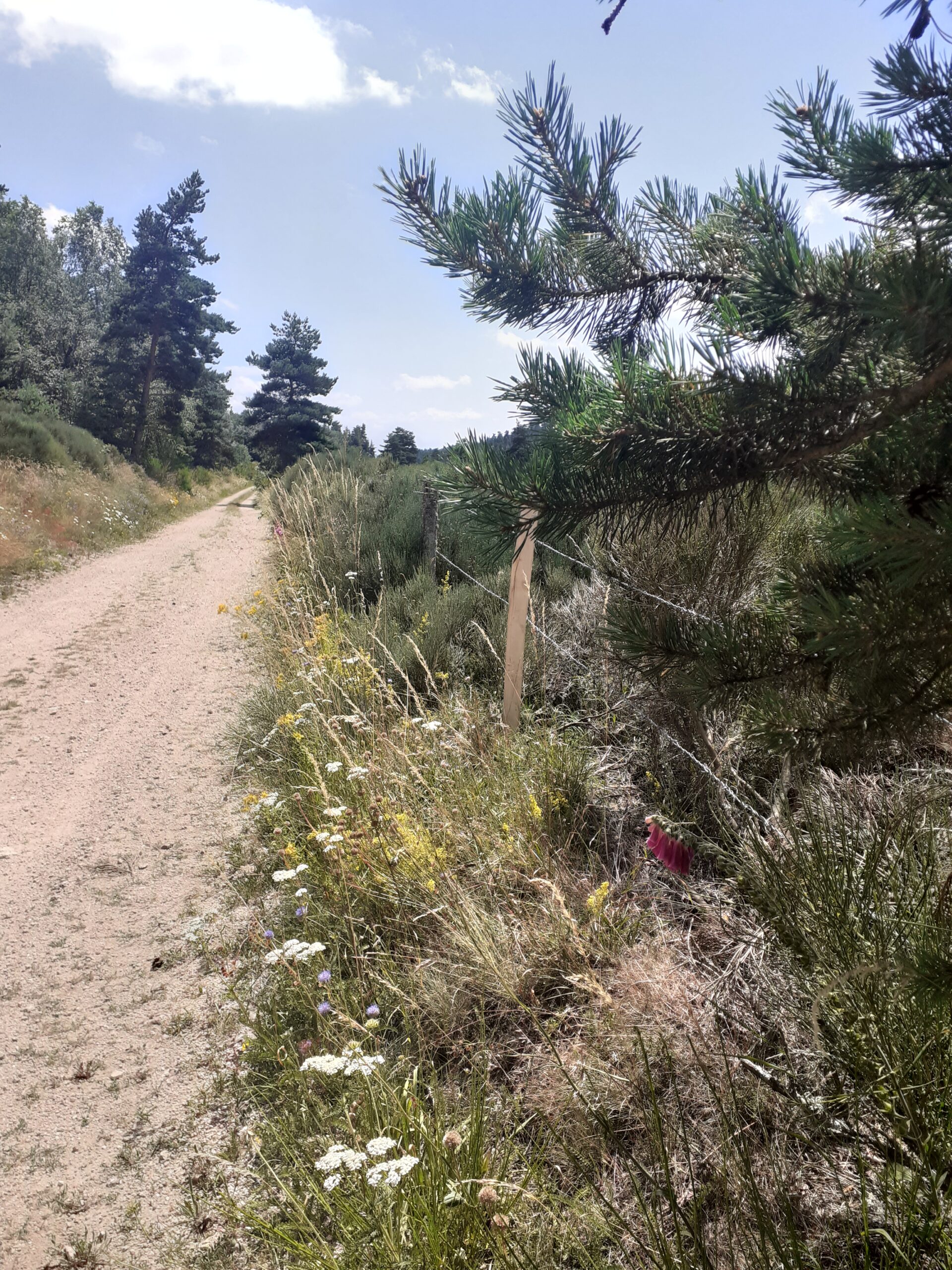 Avis d’obsèques à Léguevin.